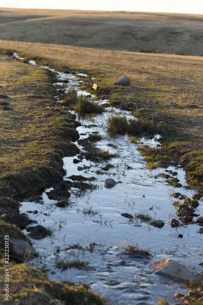 sunset, water flowing through the field