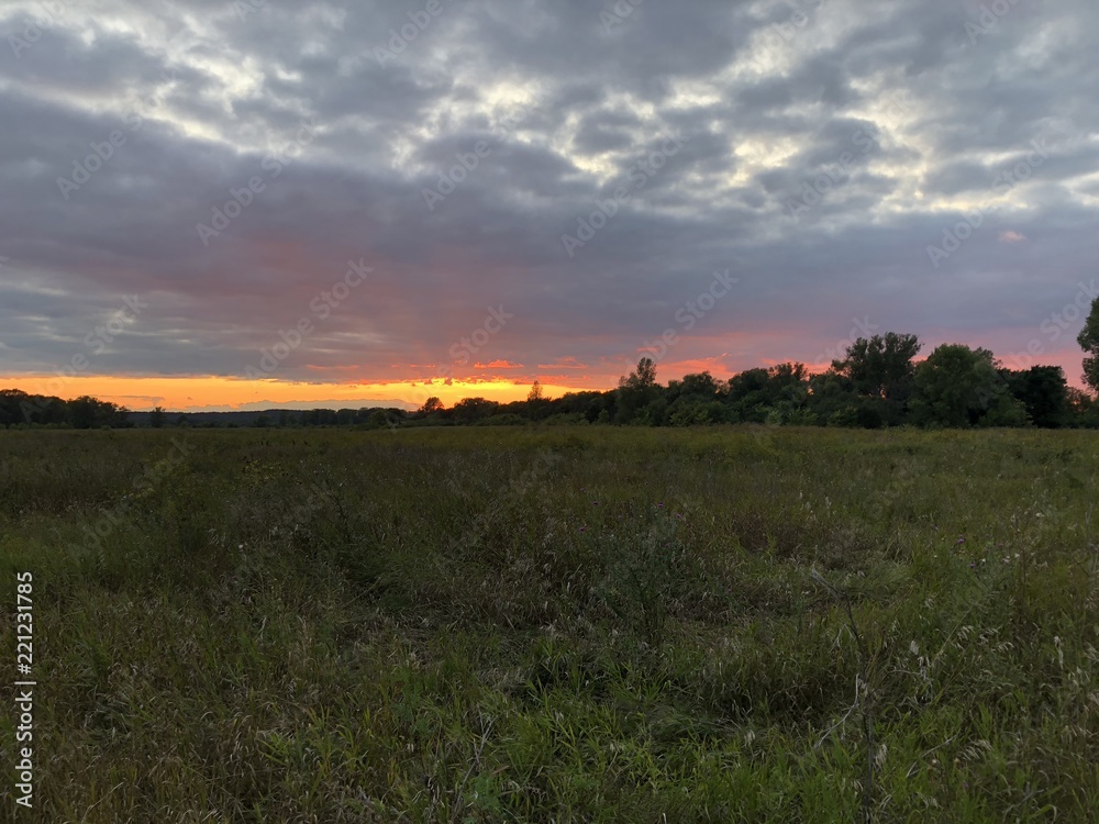 Fototapeta premium sunrise over the field