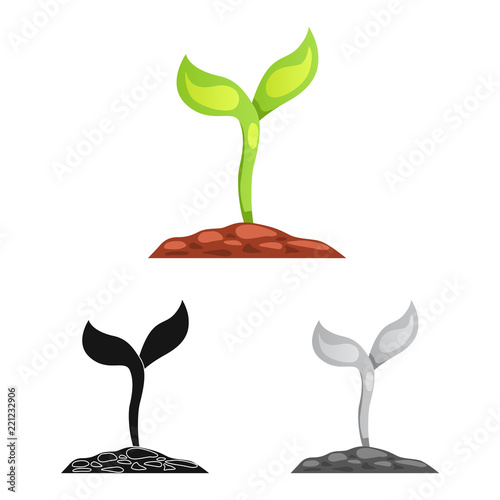 Vector design of genetic and plant sign. Collection of genetic and biotechnology stock vector illustration.