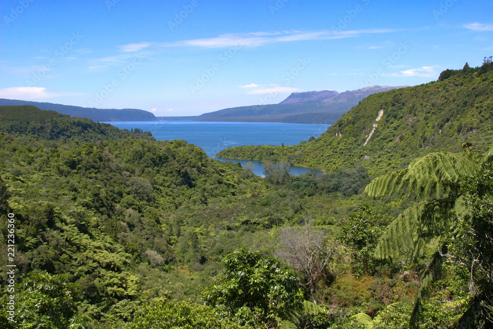New Zealand, North Island, jungle falls, waterfall, Tarawera Trail, Buried Village of Wairoa, volcano, Lake Tarawera, Rotorua, hiking, jungle