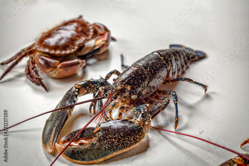 Homard lobster