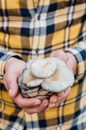 A farmer holds organic mushrooms