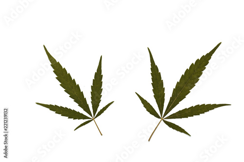 Dried cannabis leaves  marijuana isolated on white background  Happy life with cannabis lea
