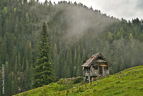 Traditional wooden shepherd huts on high alpine meadow in slovenian part of Julian Alps