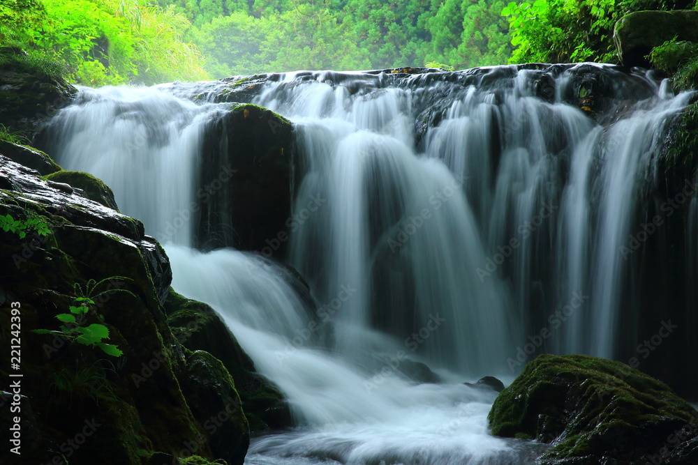 Obraz premium 夏の気仙大滝