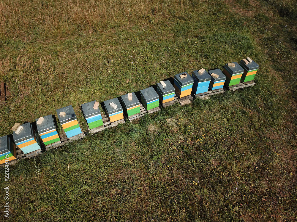 Fototapeta premium Top view of beehive