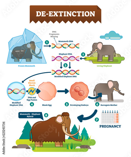 De-extinction infographic vector illustration. Process with animal hybrids.