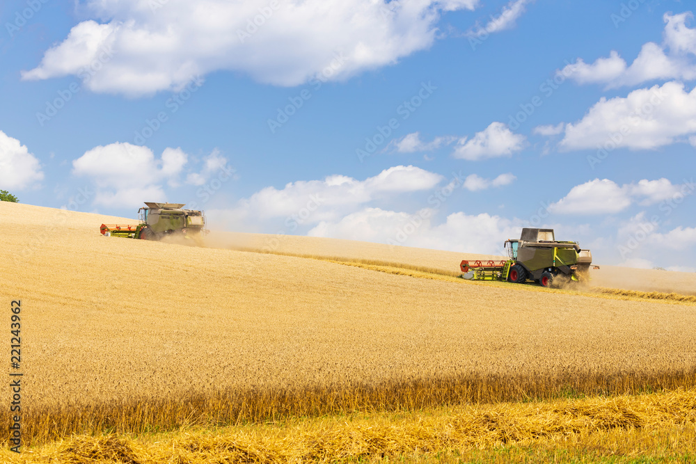 Naklejka premium two harvesters during harvest on sunny day
