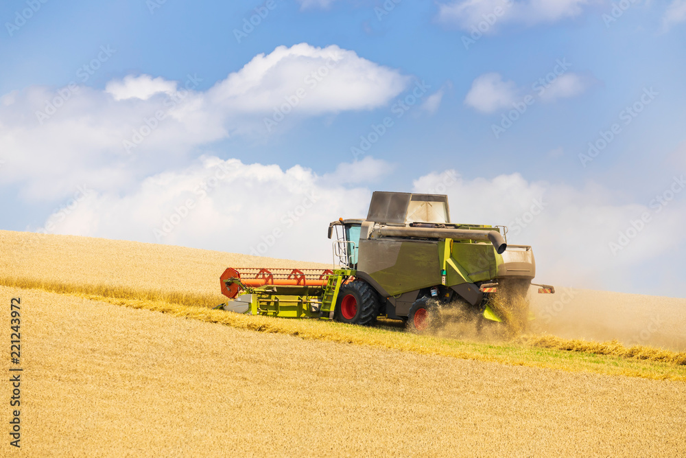 Obraz premium modern harvester during harvest of wheat on sunny day