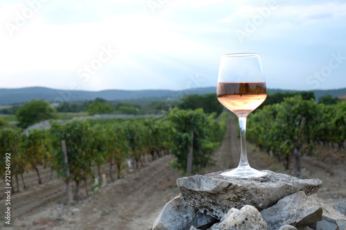 Glass with wine. Pink wine glass in the vineyard 