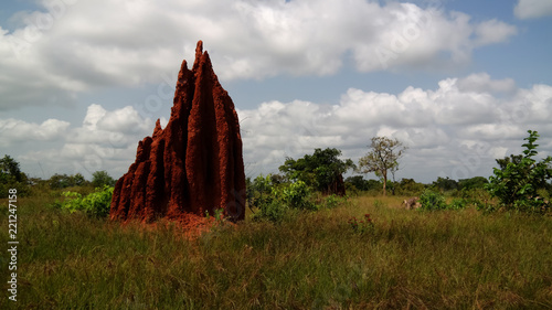 Savannah landscape with the termite mound, Ghana