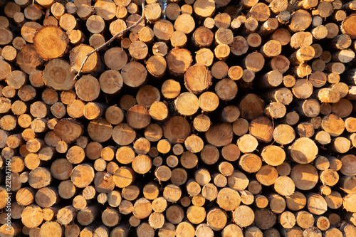 pine logs