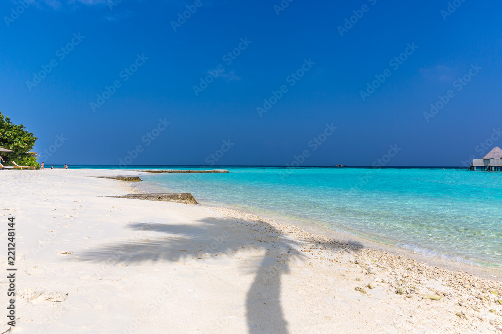 Palm tree shade in a white sand beach, perfect paradise destination in Maldives. Blue sky day, summer feeling.