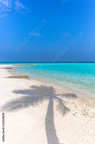 Fototapeta Naklejka Na Ścianę i Meble -  Palm tree shade in a white sand beach, perfect paradise destination in Maldives. Blue sky day, summer feeling.