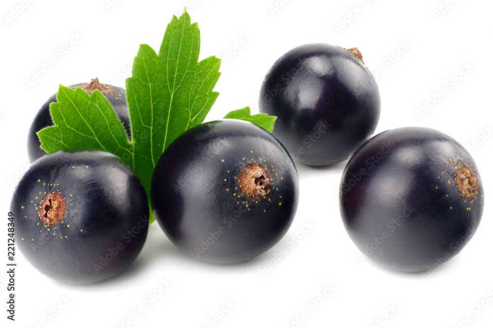 black currant with green leaf isolated on white background. macro black currant with green leaf isolated on white background. macro