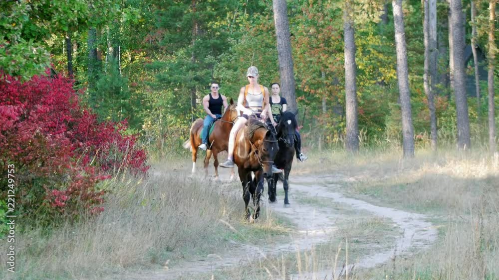 Two young attractive girls and a young strong man ride on horseback along the path in the forest Two young attractive girls and a young strong man ride on horseback along the path in the forest