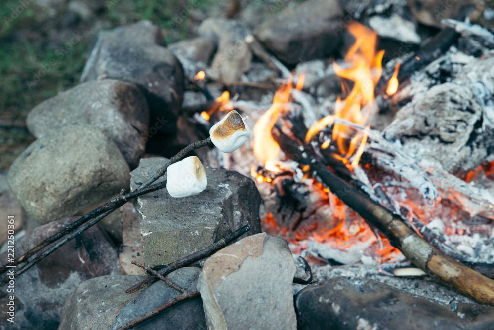 marshmallows at sticks. camping fire on background marshmallows at sticks. camping fire on background