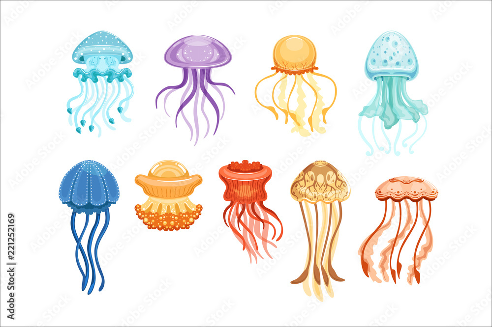 Fototapeta premium Kolorowy zestaw meduzy, pływające morskie stworzenia wodne ilustracje wektorowe