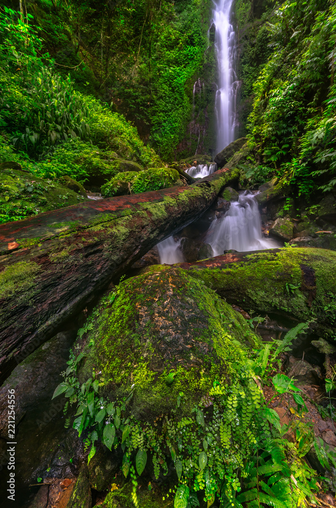 Naklejka premium Waterfall in forest