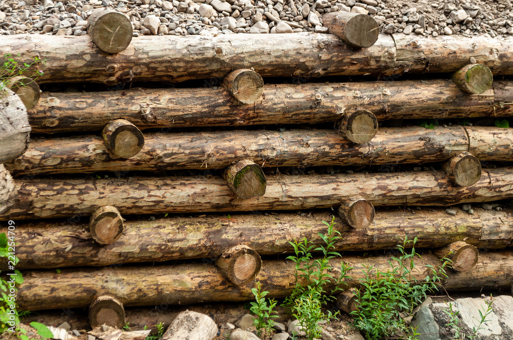 Wooden fence