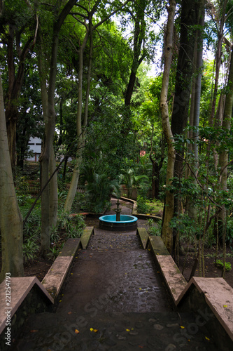 La Fuente