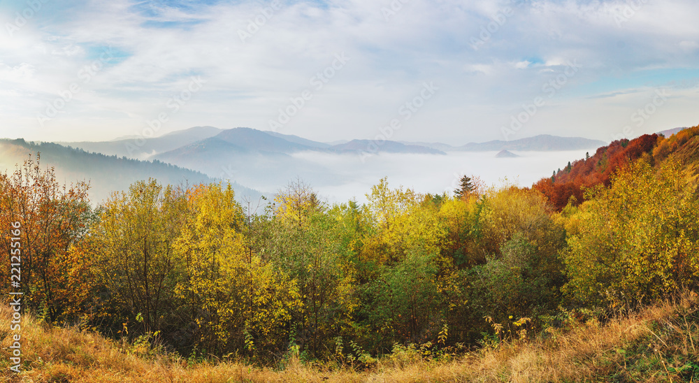 Misty autumn morning on hills mountains covered by beech forest.