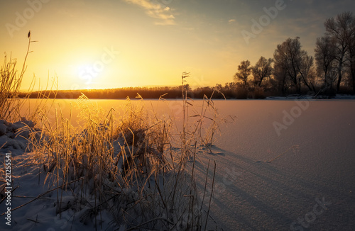 Beautiful winter landscape. The branches of the trees are covered with hoarfrost. Foggy morning sunrise. Colorful evening  bright sunshine over a river or lake.