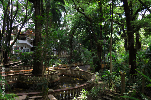 Jardín de cortez