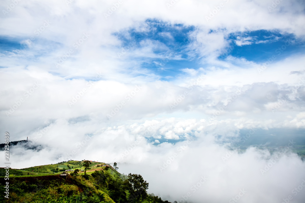 Fog and cloud mountain valley spring landscape.Forested mountain slope in low lying cloud with the evergreen conifers shrouded in mist in a scenic landscape view. Fog and cloud mountain valley spring landscape.Forested mountain slope in low lying cloud with the evergreen conifers shrouded in mist in a scenic landscape view.
