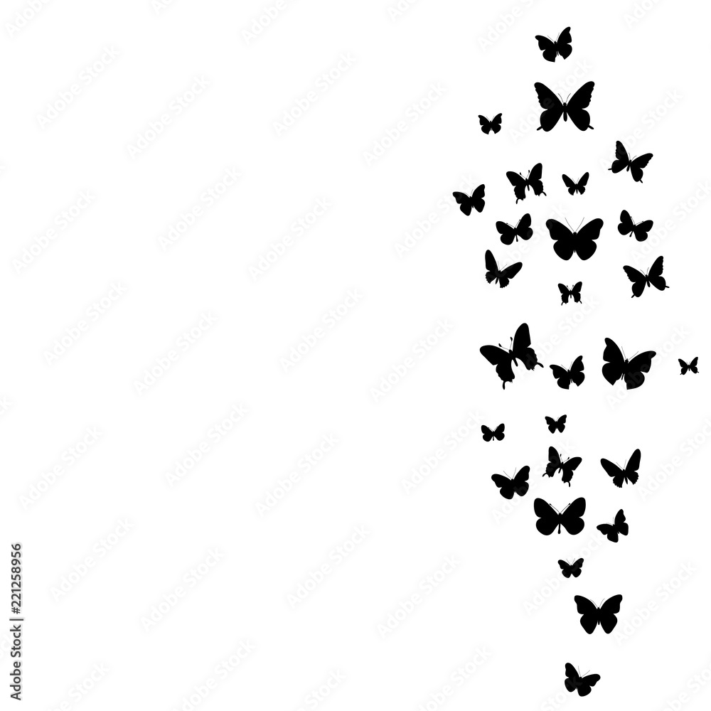 white background with a flying silhouette of butterflies white background with a flying silhouette of butterflies