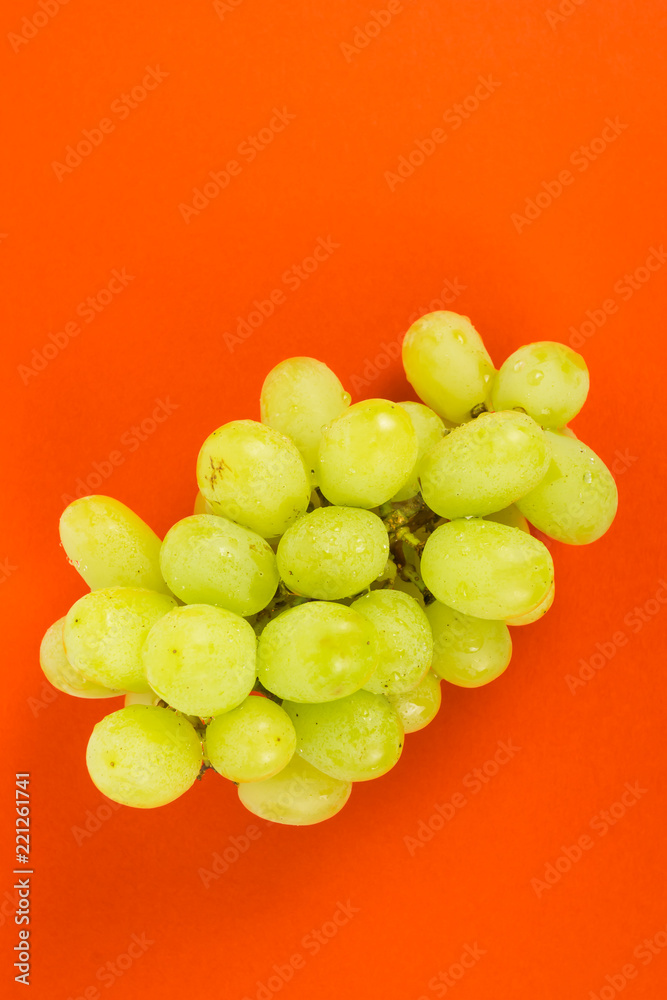 Fresh grapes on a red background Fresh grapes on a red background