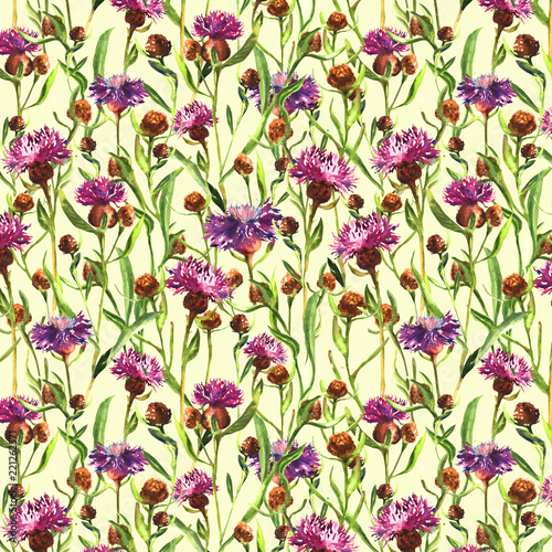 Watercolor painted purple wild thistle flowers on a yellow background. Blossom meadow plant. Hand drawn botanical illustration. Seamless pattern. © Дарья Смирнова
