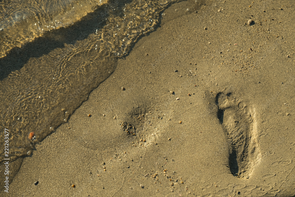 Footprints in the sand next to the water edge