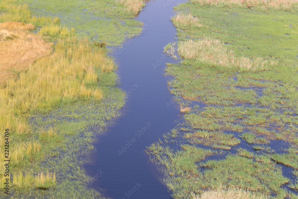 Okavango Delta, Botswana