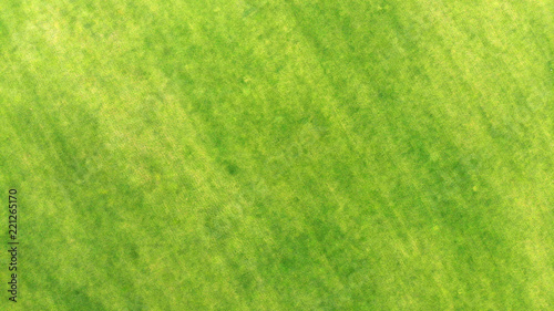 Aerial. View above of a green grass texture background.