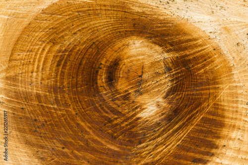 Centre Tree Wood Texture Spirality Out Of Control