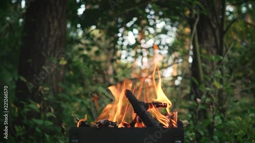 The Branches Burning In The Braizer. Charcoal For Cooking. Slow Motion.