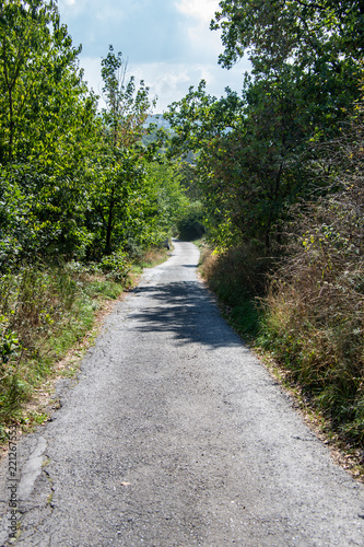 Feldweg im Wald