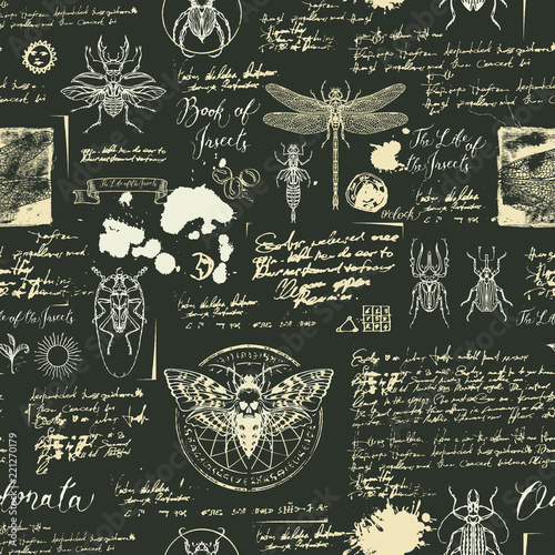 Vector seamless abstract background with insects. Beetles, moths, dragonflies, ink stains, doodles and handwritten inscriptions on the old manuscripts. Can be used as retro Wallpaper, wrapping paper photo