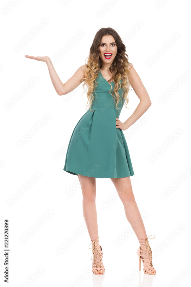 Elegant Woman In Mini Dress And High Heels Is Presenting And Talking Elegant Woman In Mini Dress And High Heels Is Presenting And Talking