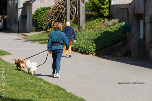 Femme promenant ses chien