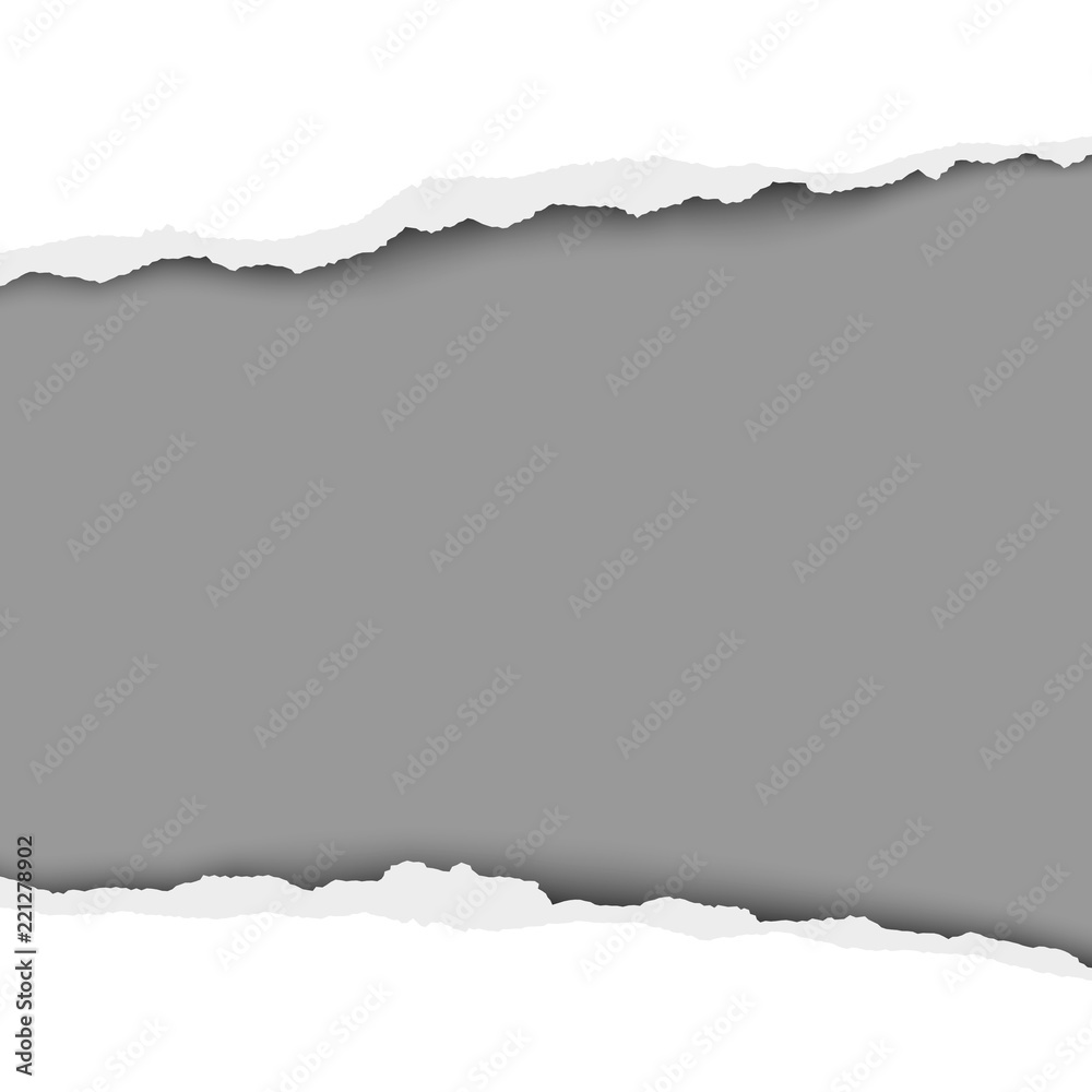 Obraz premium Snatched middle of white paper with torn edges, soft shadow and gray resulting background. Vector template paper design.