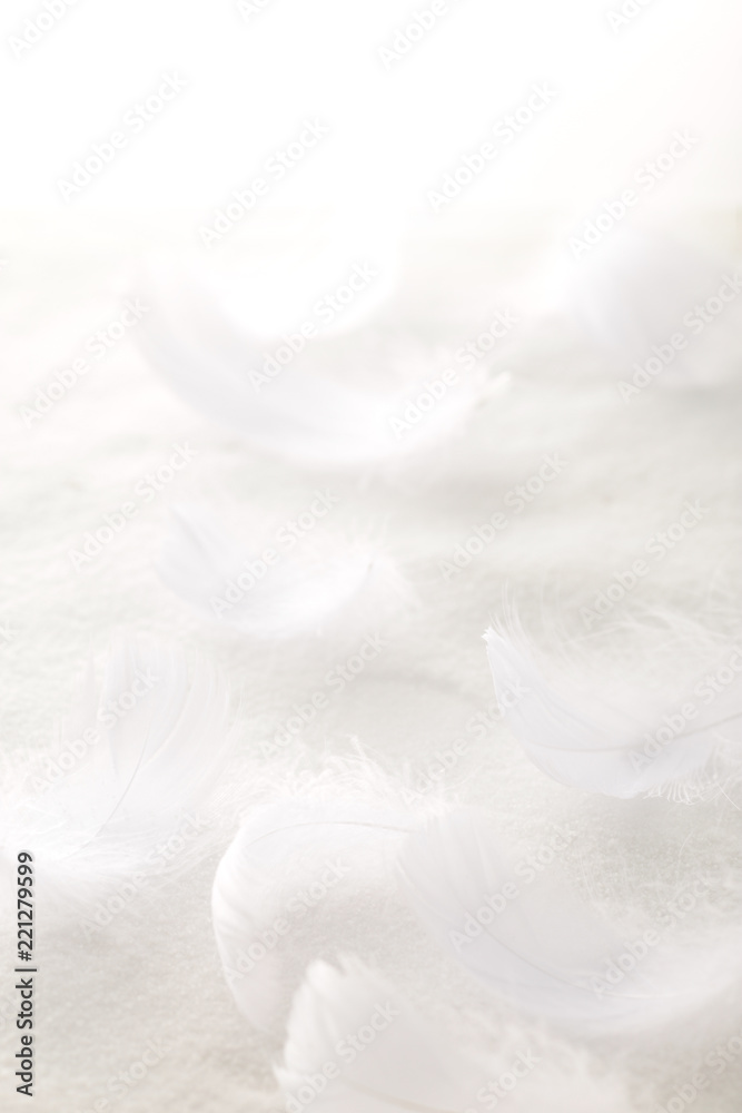 白い羽と白背景のクリスマスイメージ背景 Stock Photo | Adobe Stock