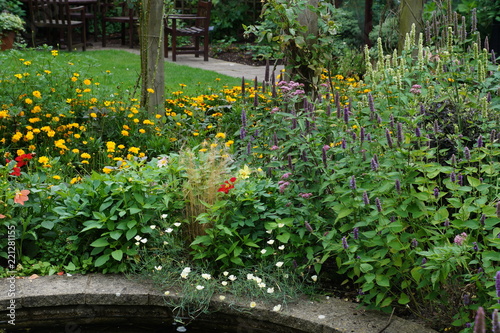 Garden with a bench
