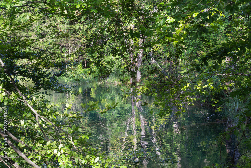 Fototapeta premium espelho da realidade