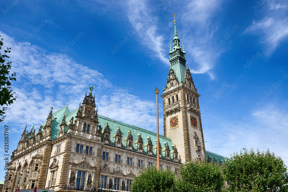 View of famous Hamburg town hall
