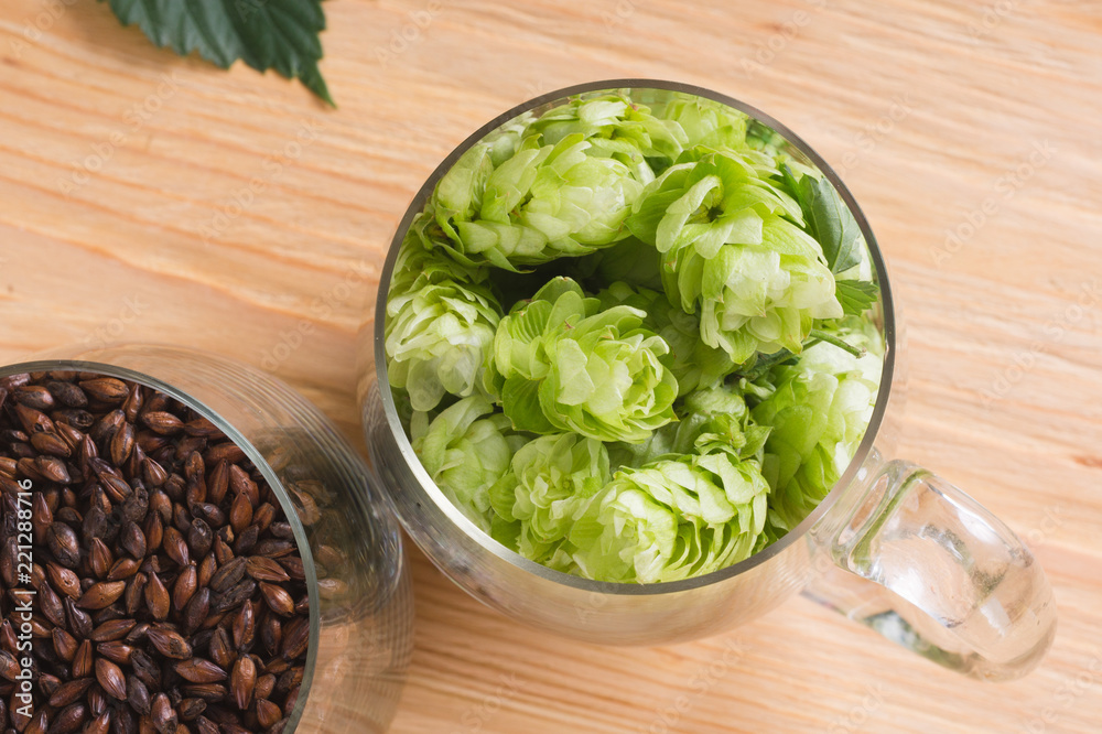 Cones of hops and chocolate malt in glass mug, closeup. Ingredient in craft beer brewing from grain barley malt. Ale or lager from pilsner malt. Cones of hops and chocolate malt in glass mug, closeup. Ingredient in craft beer brewing from grain barley malt. Ale or lager from pilsner malt.