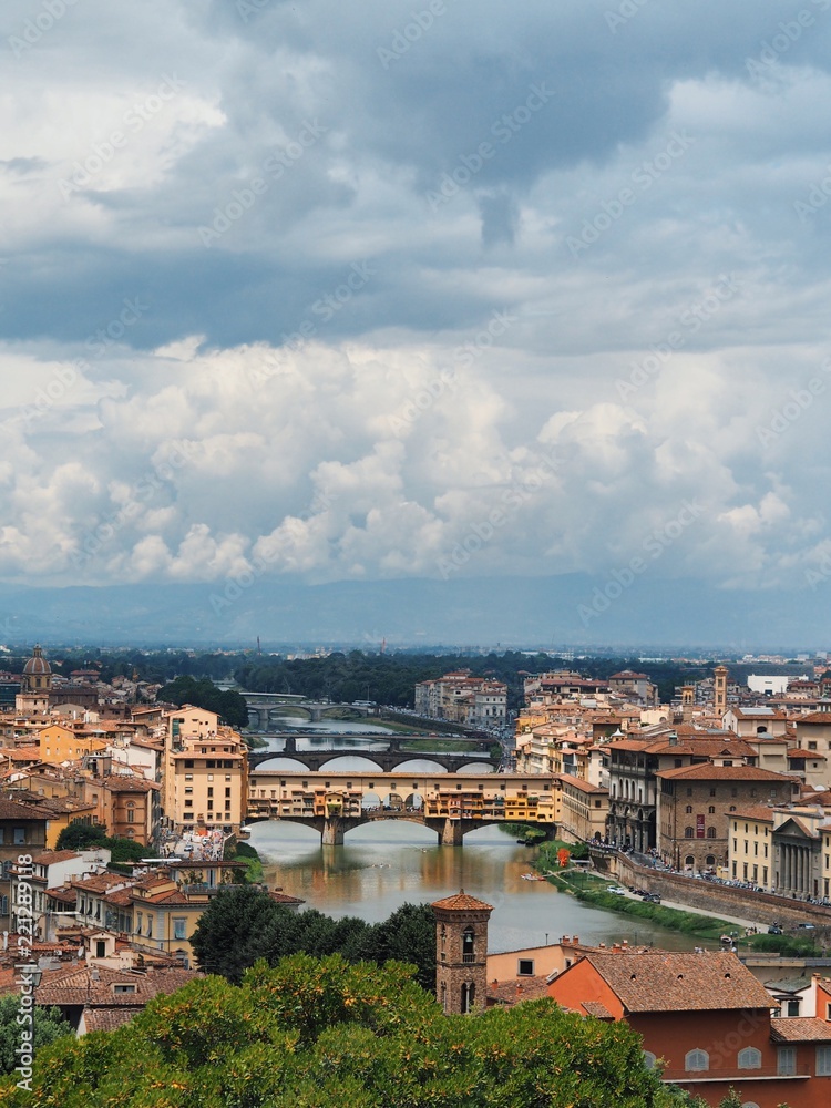 Obraz premium Panorama of Florence, view of the city from above, you can see the domes of the cathedrals, bridge