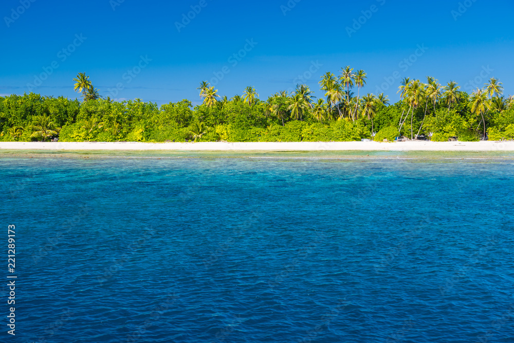 Panorama of tropical island with coconut palm trees on sandy beach. Maldives, Indian Ocean.