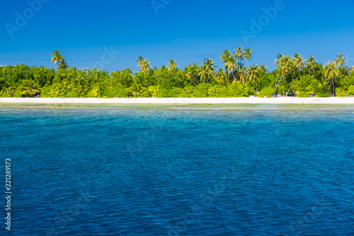 Panorama of tropical island with coconut palm trees on sandy beach. Maldives, Indian Ocean.